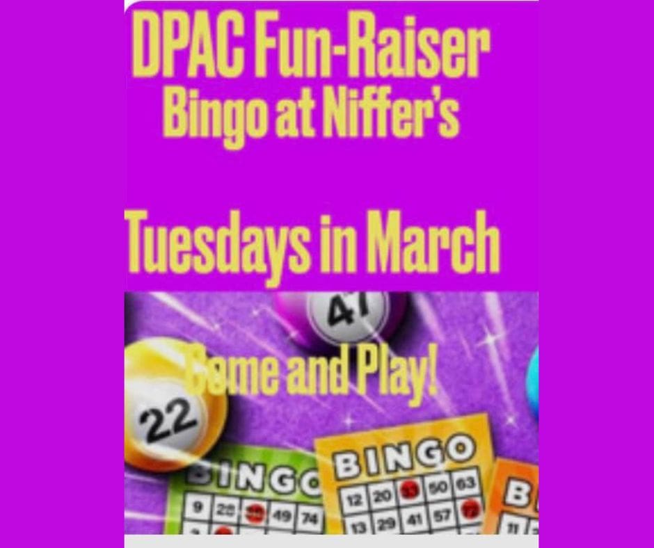 Fun raiser bingo game on purple background